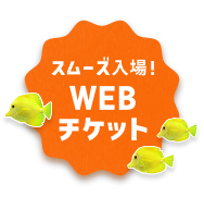 チケットのご購入