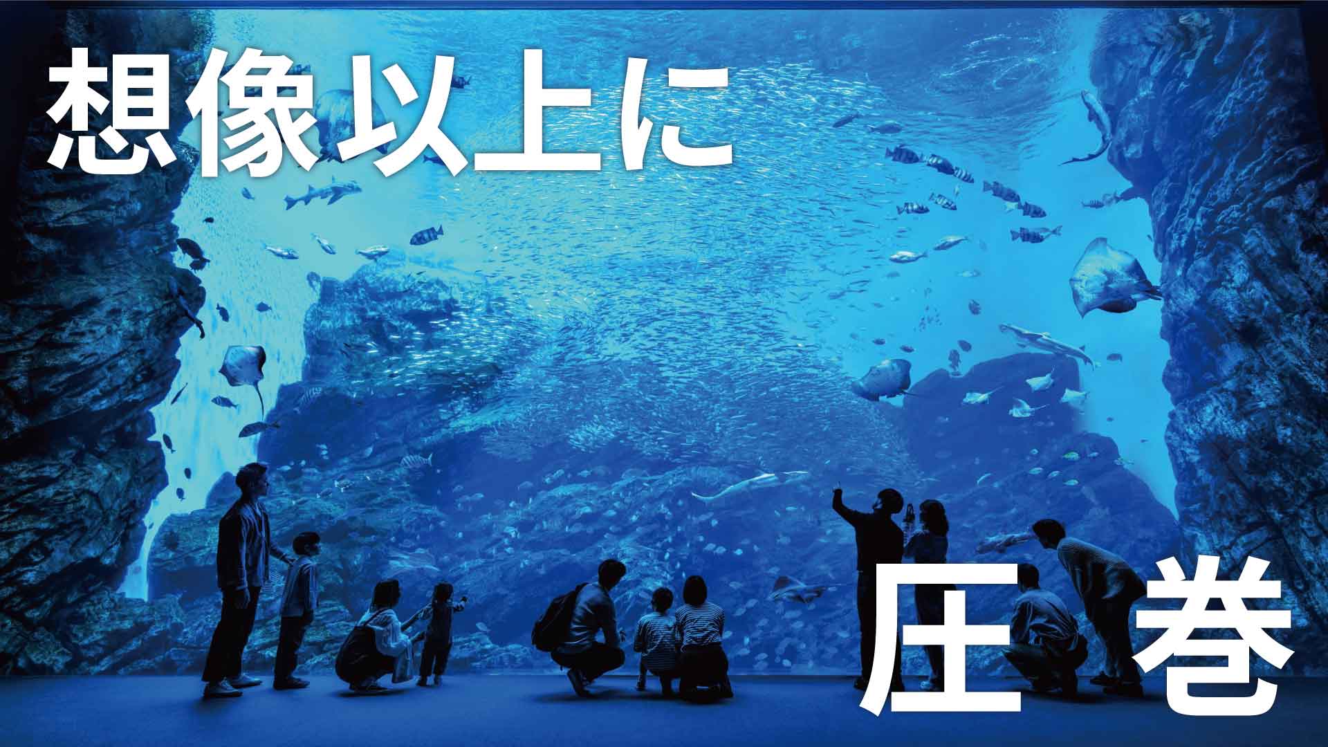 仙台うみの杜水族館の画像