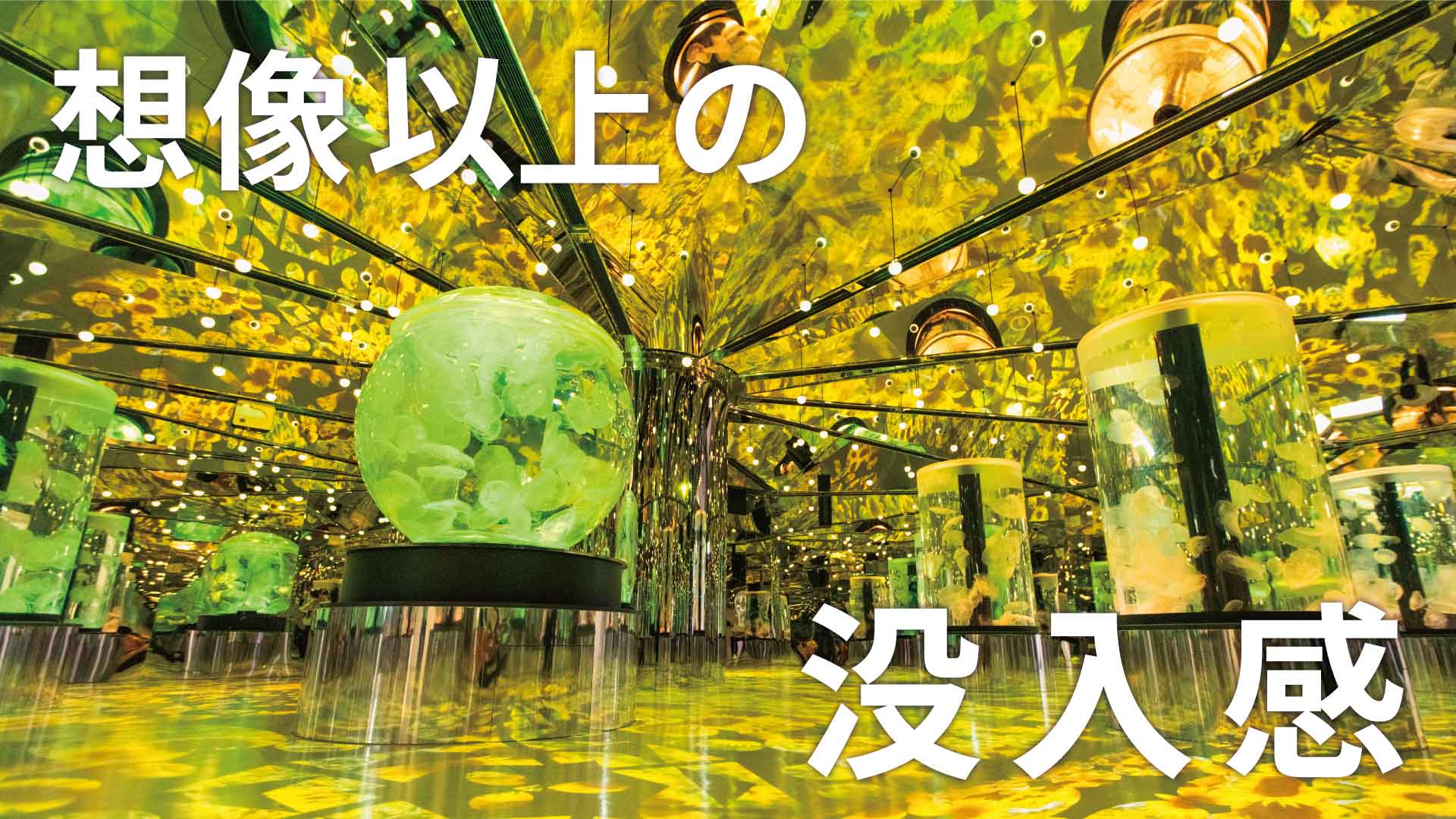 Xpark（台湾・桃園）の画像